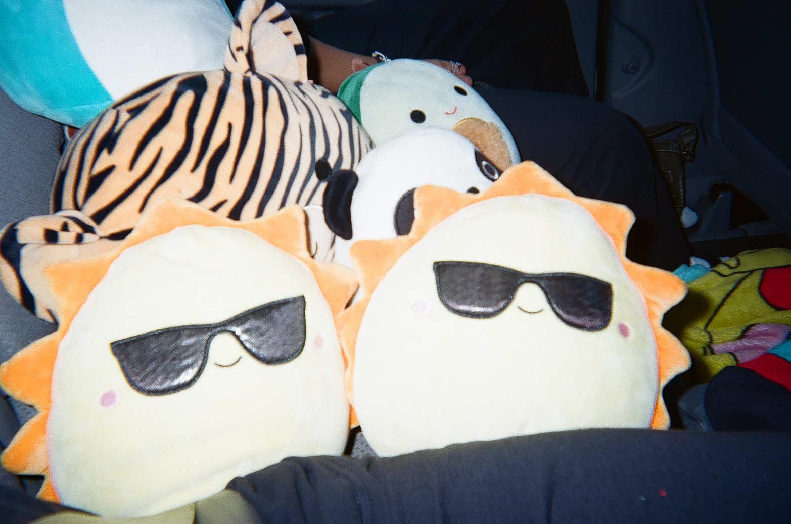 9 26 2023   12536801   Film 125368010023